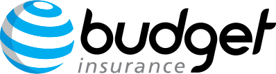 Budget Insurance at a Glance